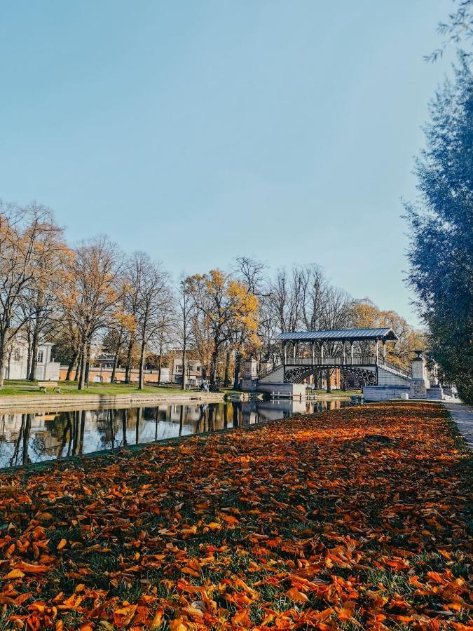 La Cabane Lille Centre Luaran gambar